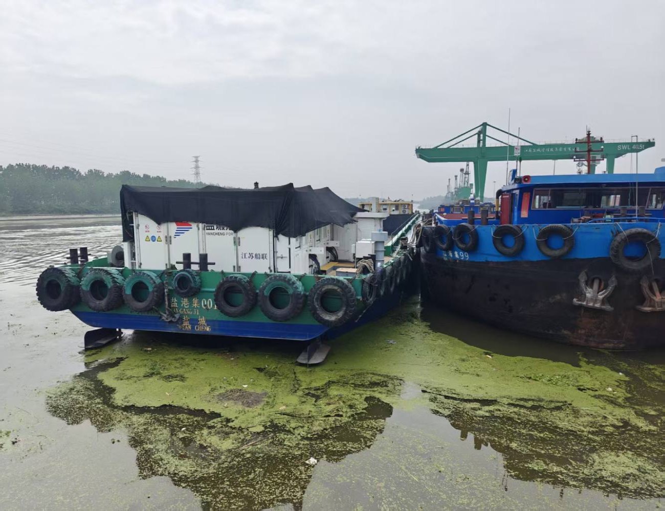 Weixin Image_20250629232844 (1)