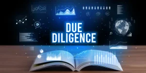 Due Diligence